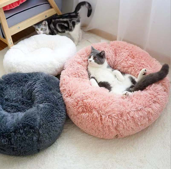 Pet toys and accessories